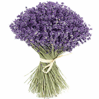 bouquet-lavande.png